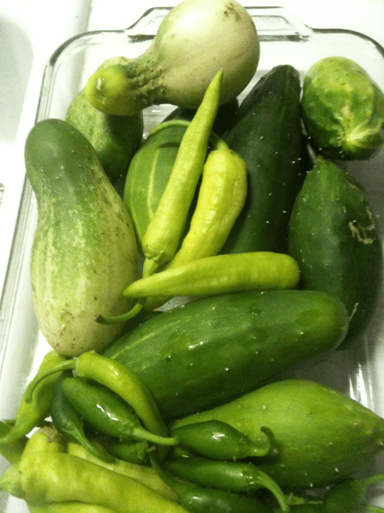Cucumbers, banana chiles, and jalapeno chiles